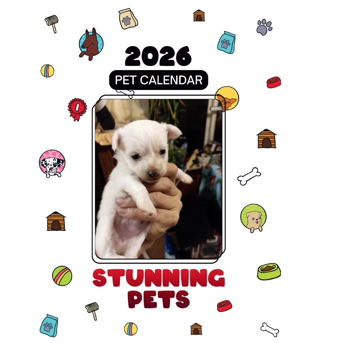 Snowball Headlines Stunning Pets A 2026 Pet Calendar Praise My Pet 1200x1200 