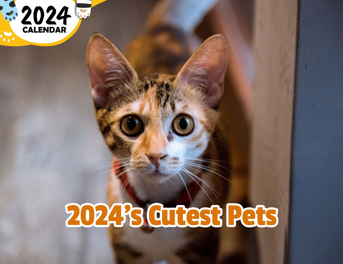 2024's Cutest Pets 2024 Wall Calendar (Published) Praise My Pet!
