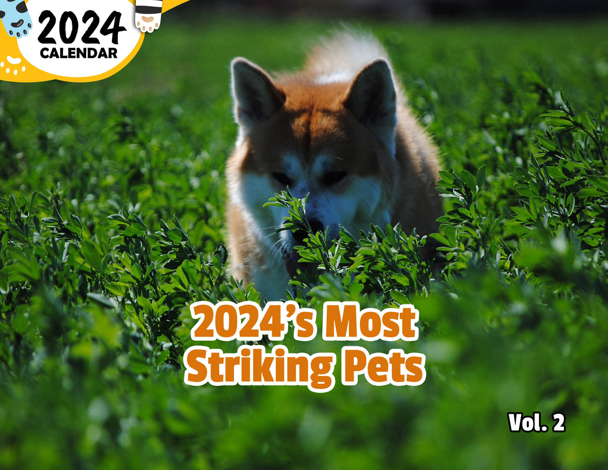 2025's Most Striking Pets Volume Two 2025 Wall Calendar (PreOrder