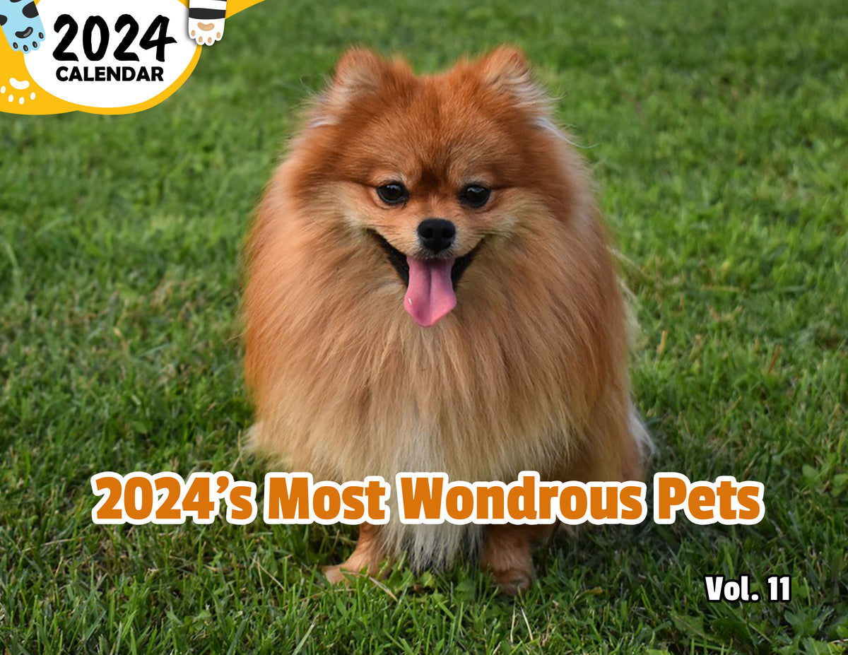 2024's Most Wondrous Pets Volume Eleven 2024 Wall Calendar (PreOrder