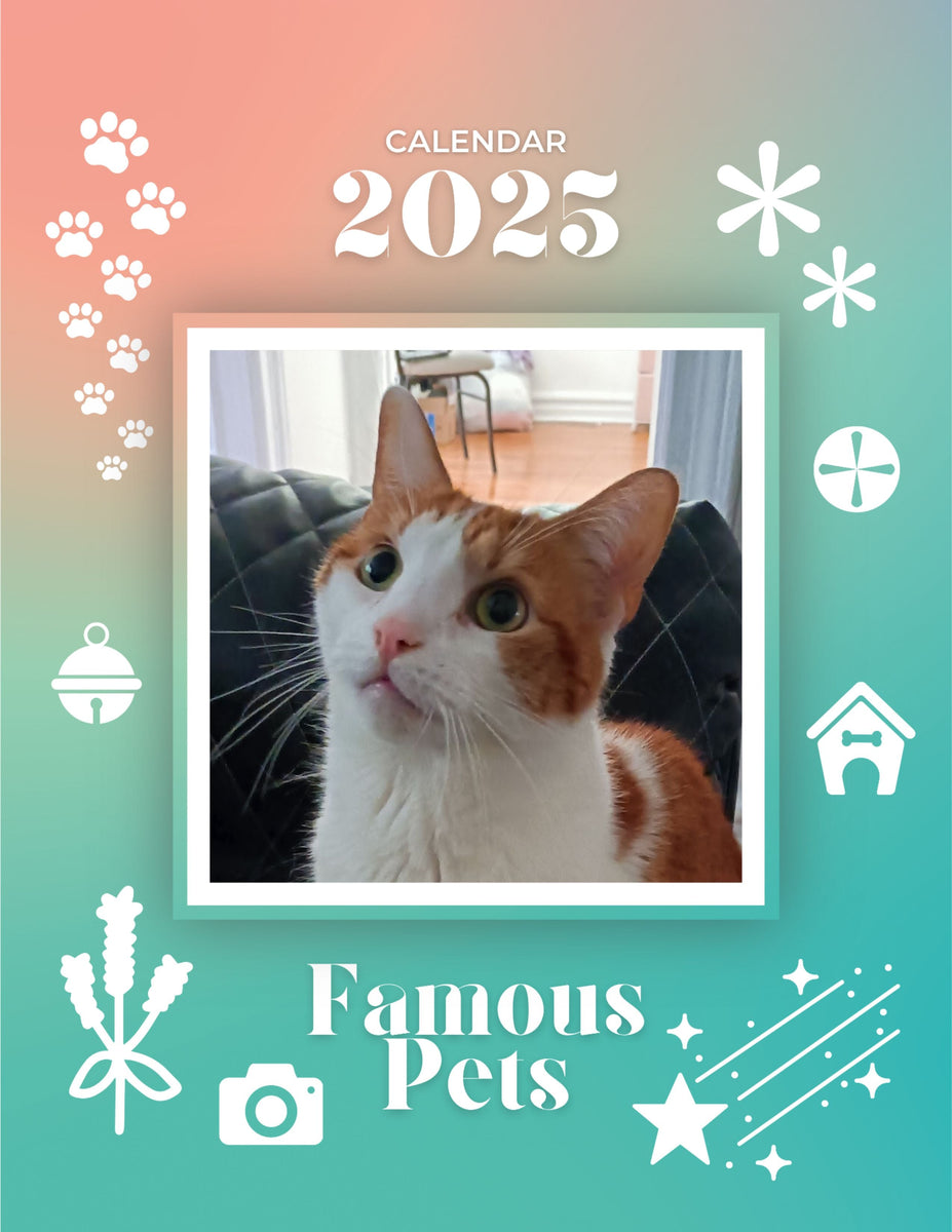 Praise My Pet Calendar 2025 Release Date October