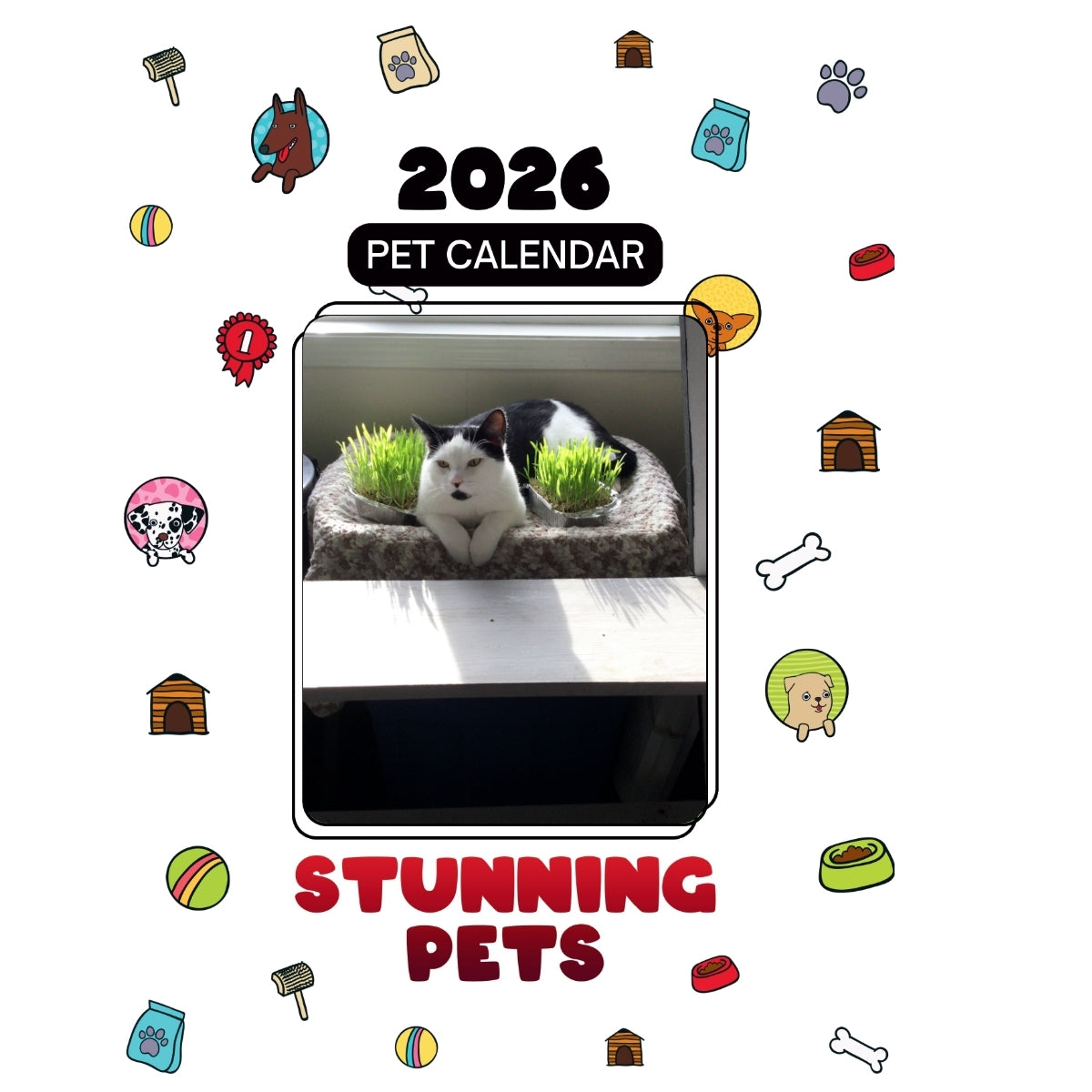 Born In A Box Headlines Stunning Pets A 2026 Pet Calendar Praise My Pet 1200x1200 