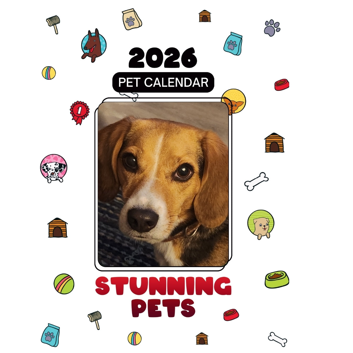 Cooper Pooper Headlines Stunning Pets A 2026 Pet Calendar Praise My Pet 1200x1200 