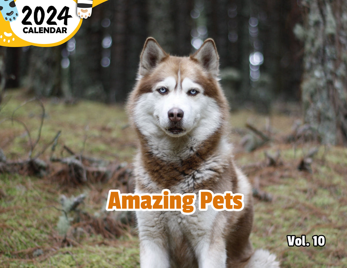 Amazing Pets Volume Ten 2024 Wall Calendar (Published) Praise My Pet!