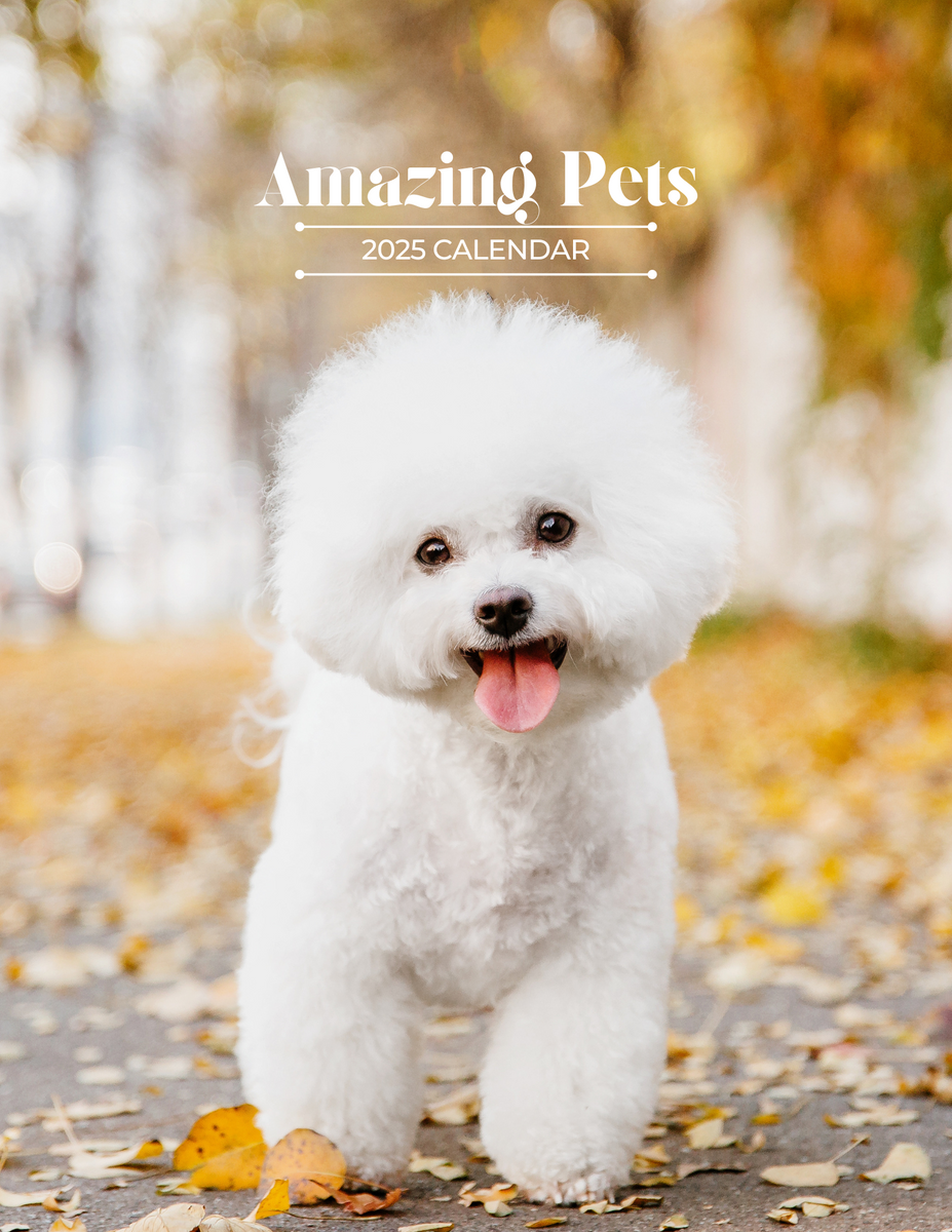 Amazing Pets 2025 Wall Calendar (PreOrder) Praise My Pet!