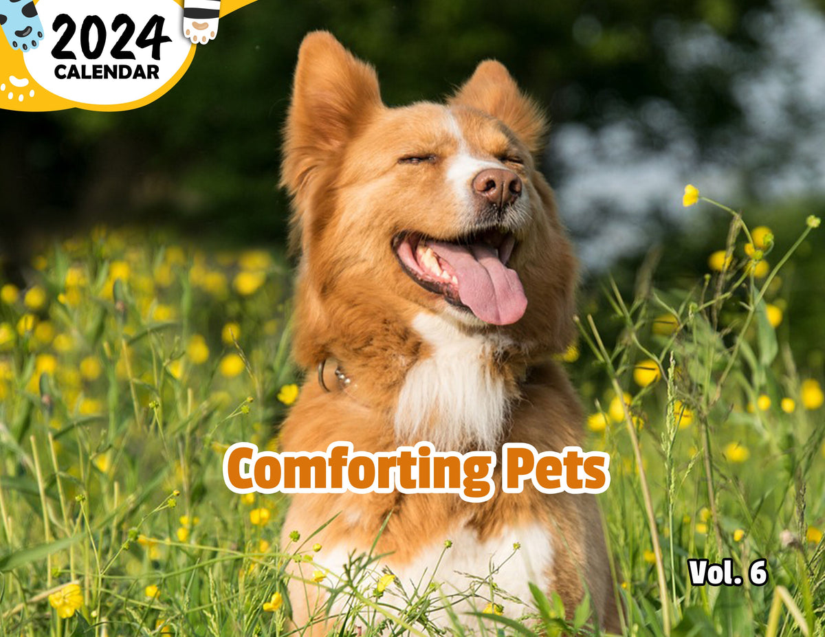 Comforting Pets Volume Six 2024 Wall Calendar (PreOrder) Praise My Pet!