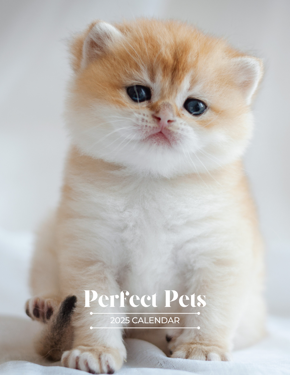 Perfect Pets 2025 Wall Calendar (PreOrder) Praise My Pet!