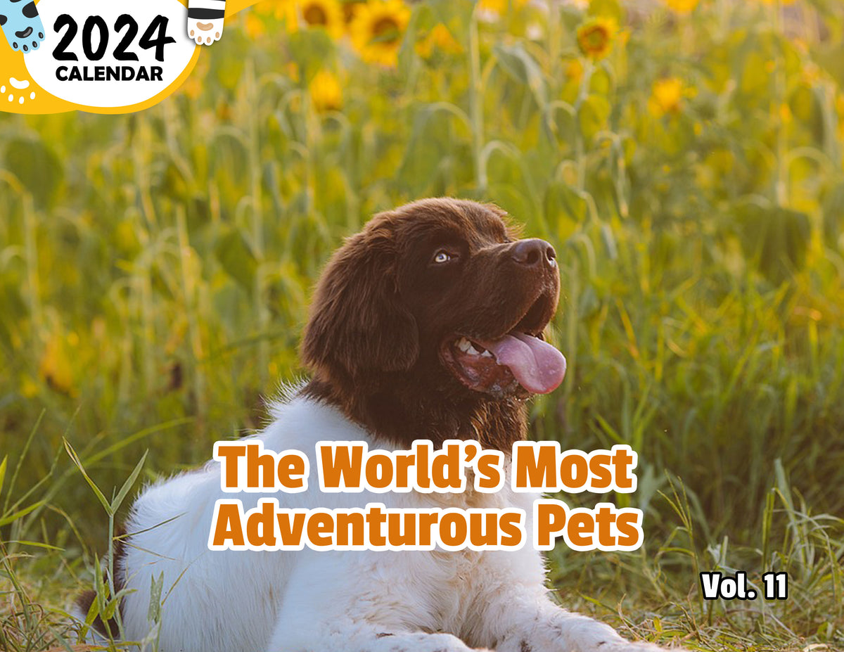 The World's Most Adventurous Pets Volume Eleven 2025 Wall Calendar (P