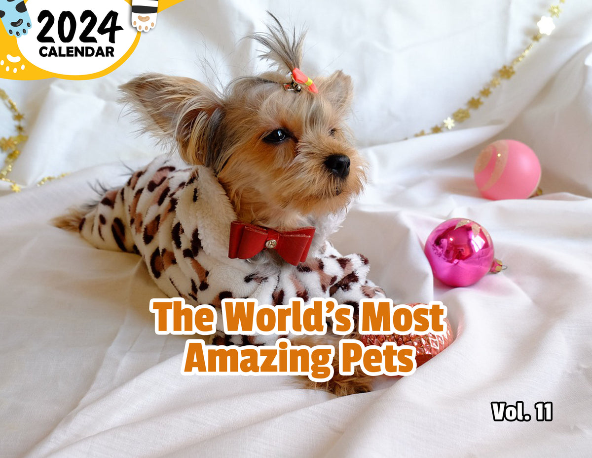 The World's Most Amazing Pets Volume Eleven 2024 Wall Calendar (PreO