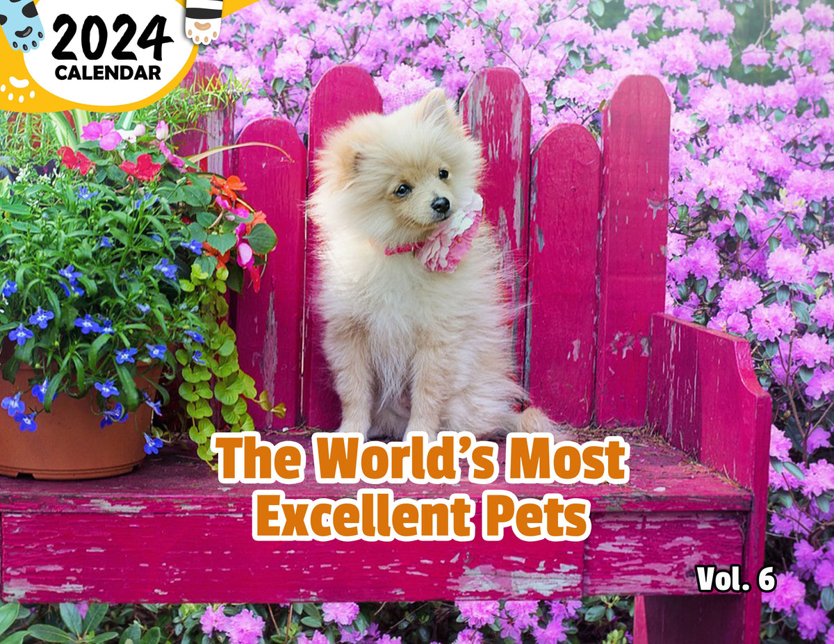 the-world-s-most-excellent-pets-volume-six-2024-wall-calendar-pre-or