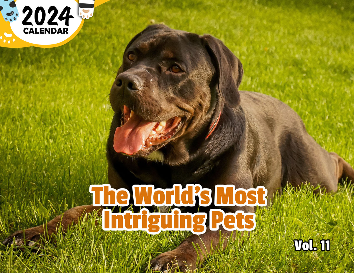 The World's Most Intriguing Pets Volume Eleven 2025 Wall Calendar (Pr