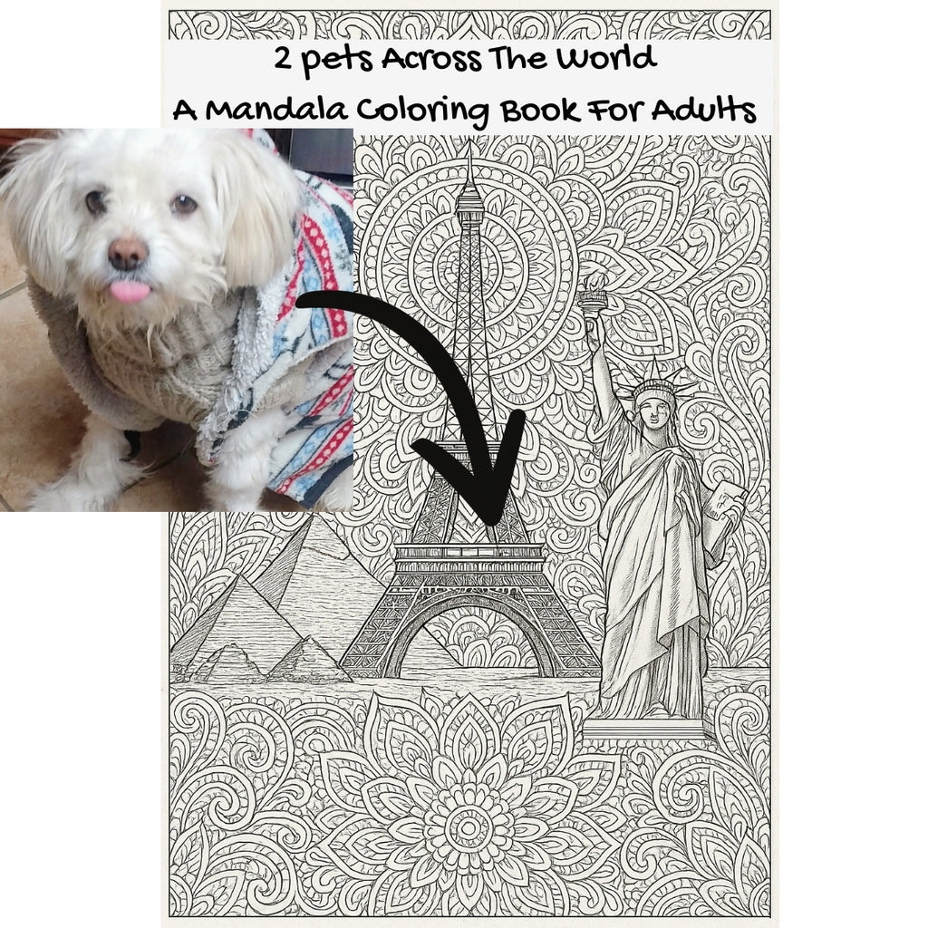 2 pets Across The World: A Mandala Coloring Book For Adults