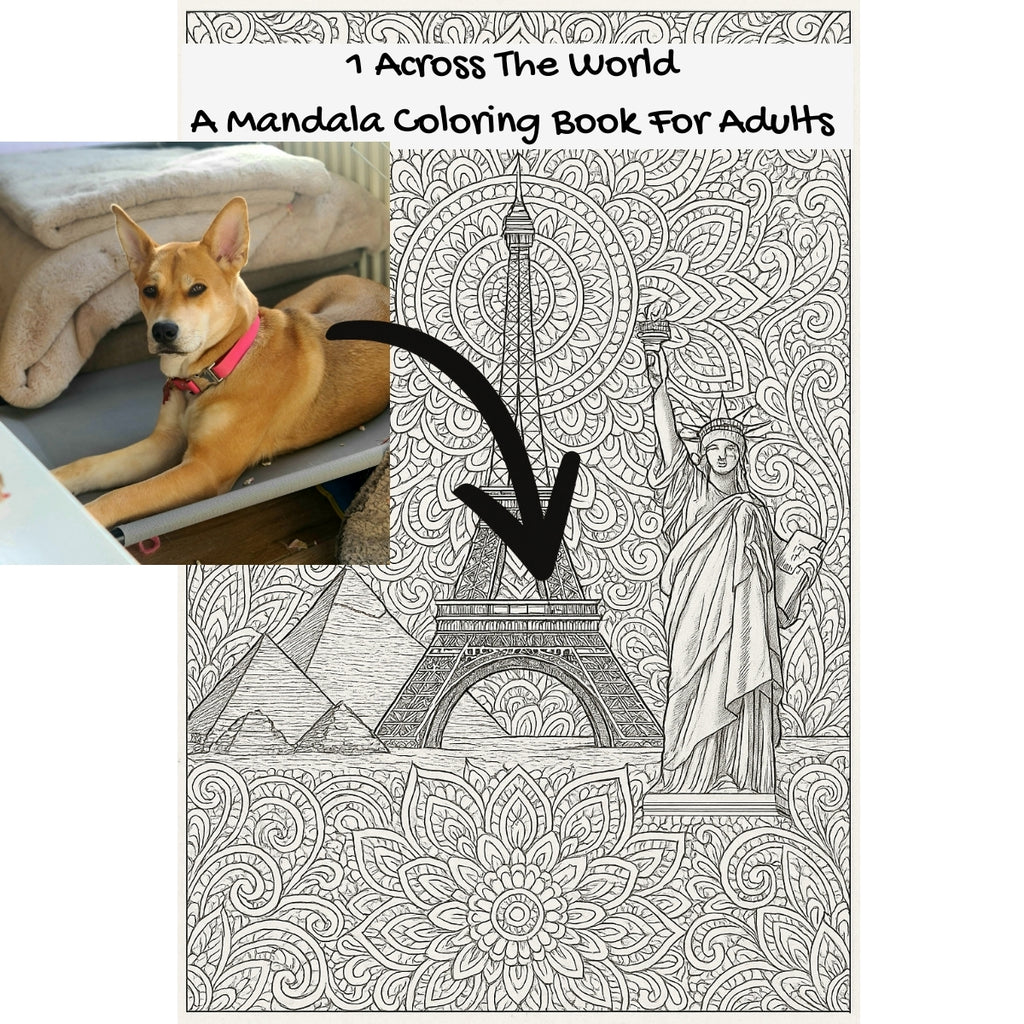 1 Across The World: A Mandala Coloring Book For Adults