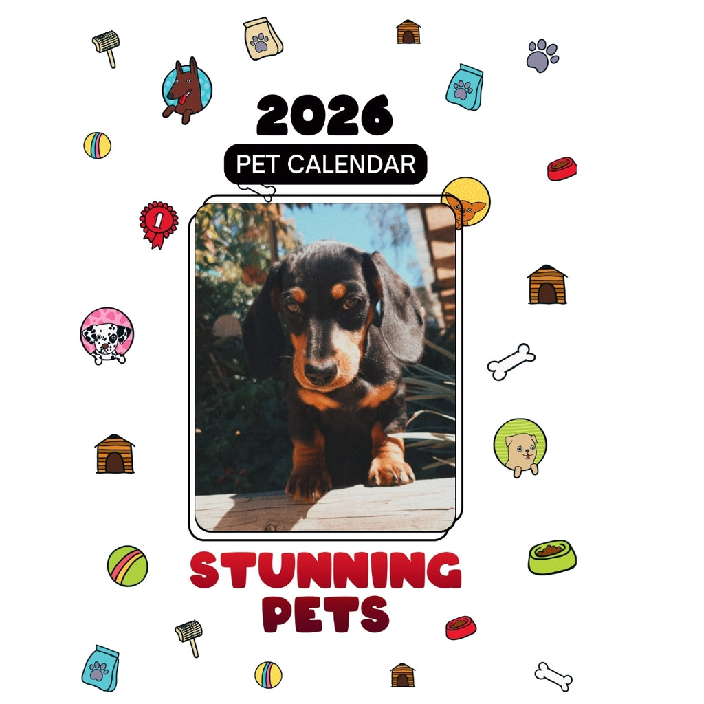 1 Headlines Stunning Pets: A 2026 Pet Calendar