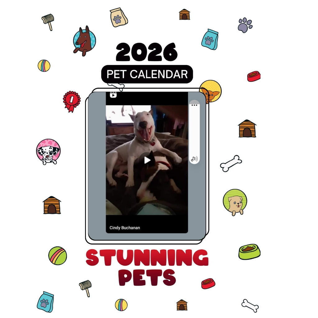 3606430762 Stars in Stunning Pets: A 2026 Pet Calendar