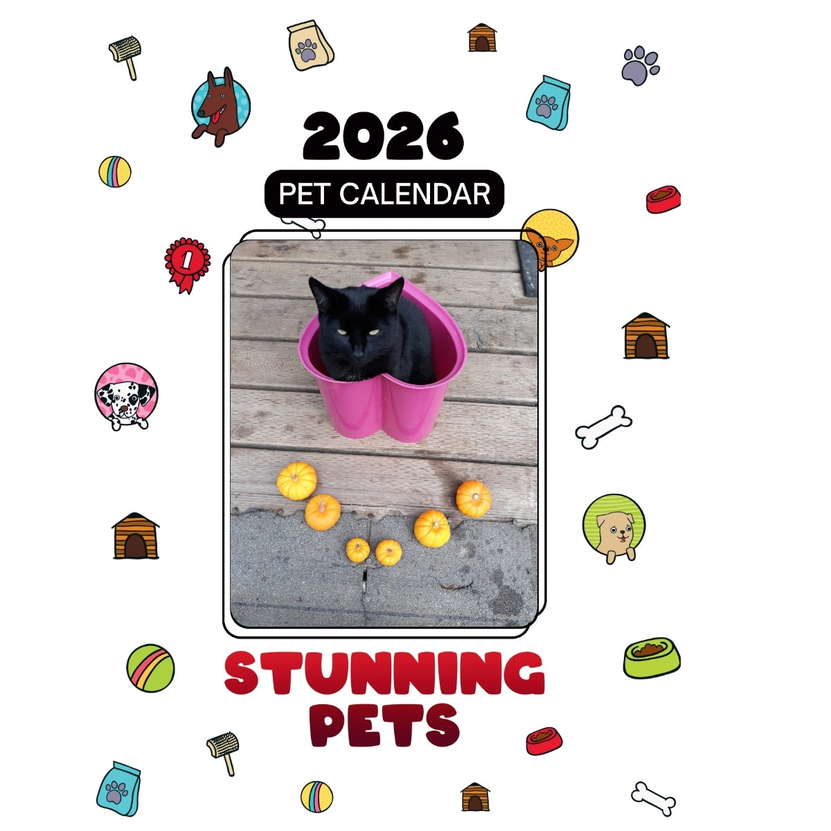 47822 Hwy101 Bandon Oregon 97411 Headlines Stunning Pets: A 2026 Pet Calendar