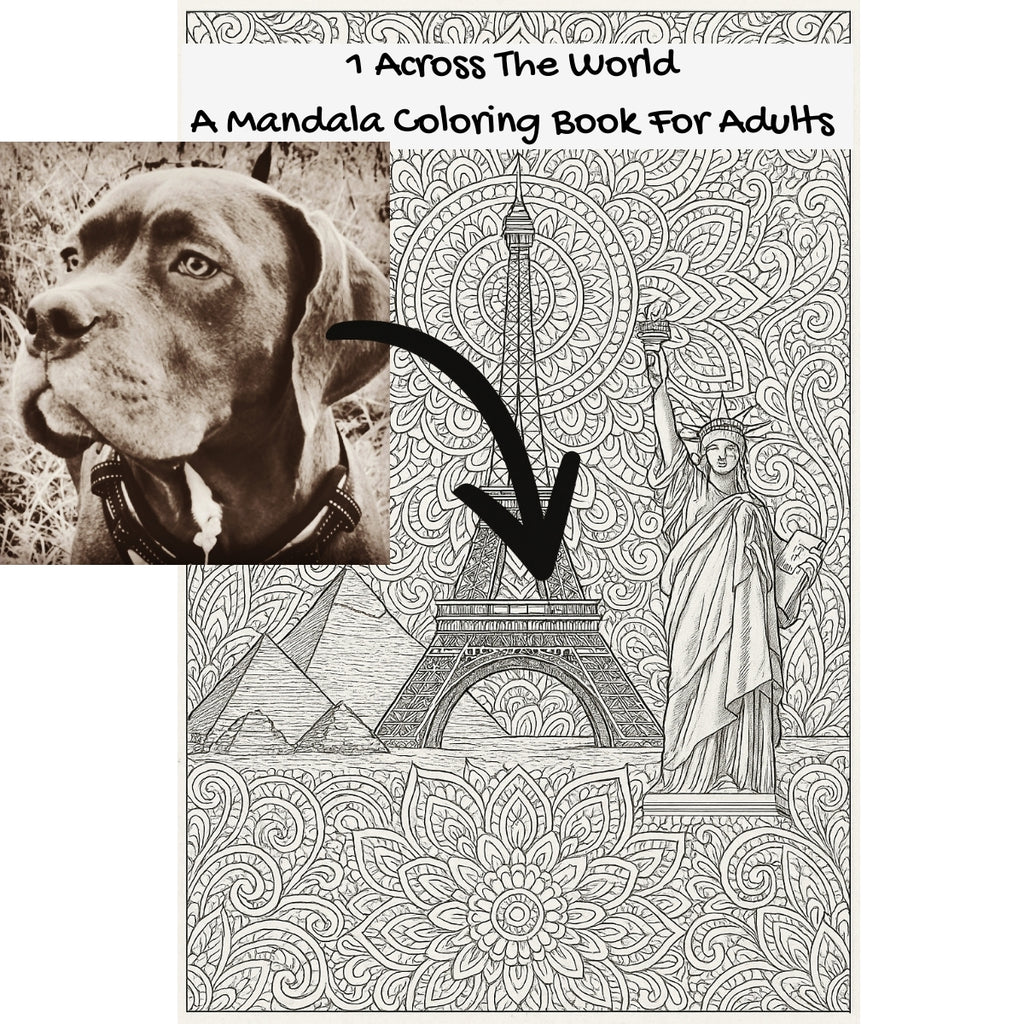 1 Across The World: A Mandala Coloring Book For Adults