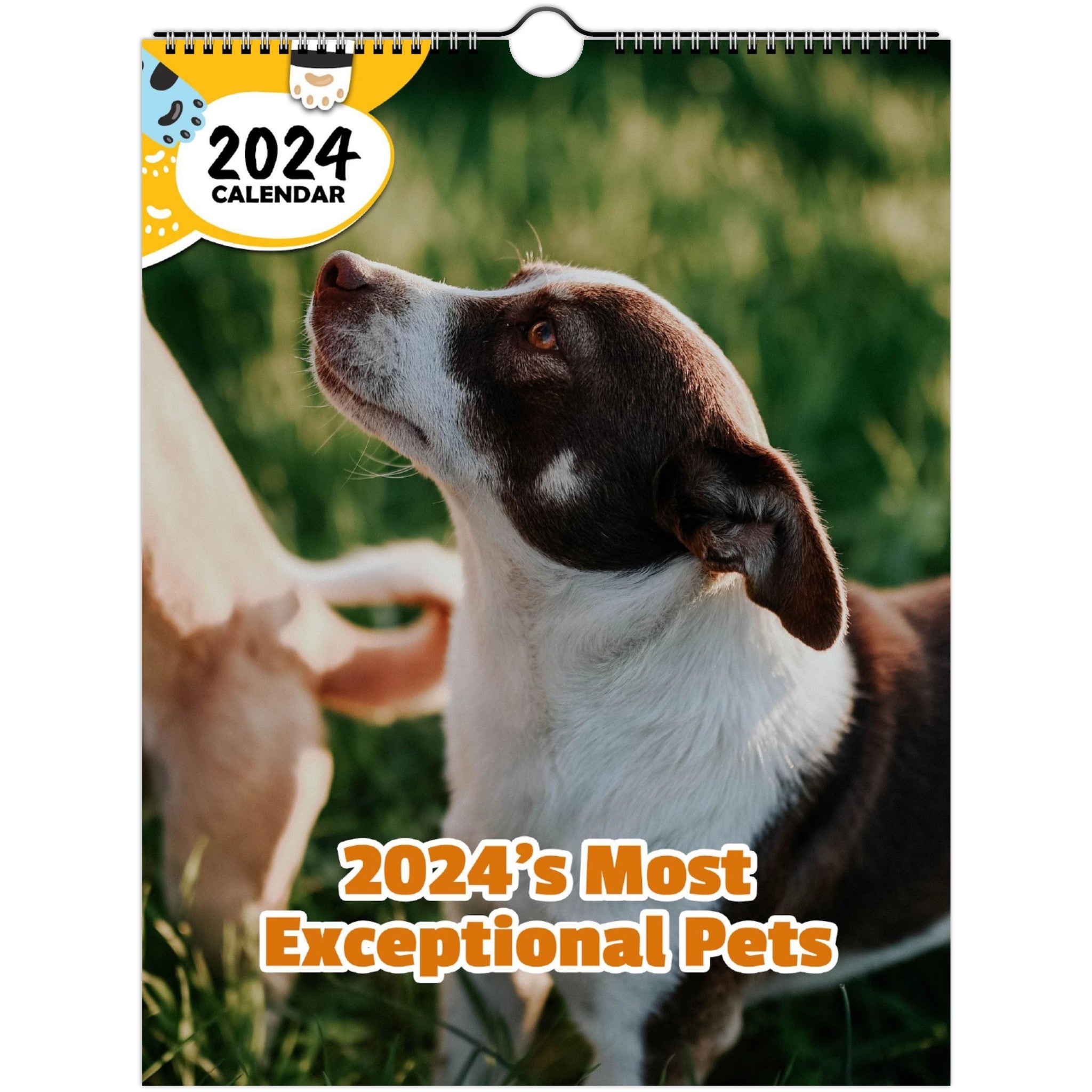 2024's Most Exceptional Pets: 2024 Wall Calendar (Published)