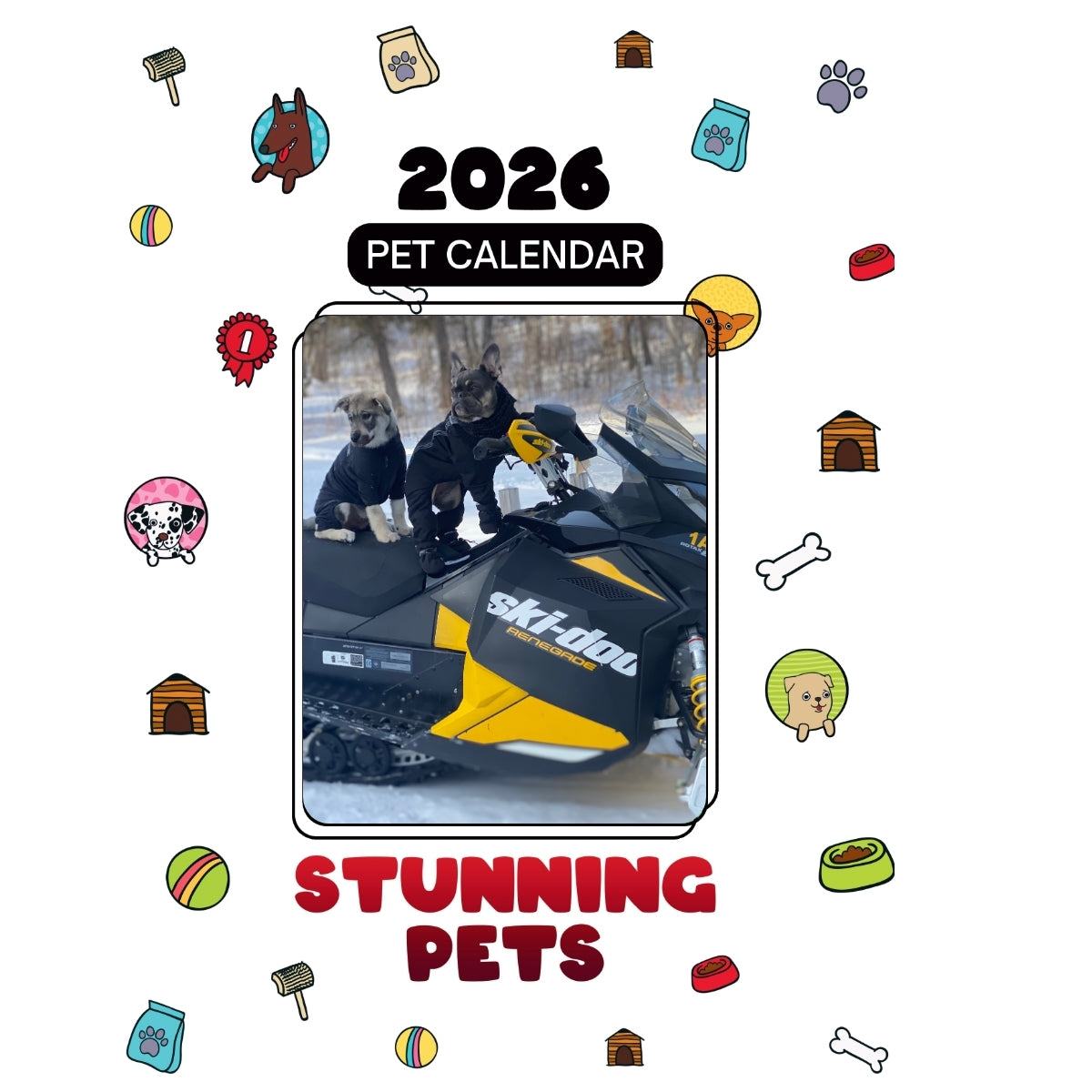 Opal (French Bulldog) & Löki (Jämthund) Headlines Stunning Pets: A 2026 Pet Calendar