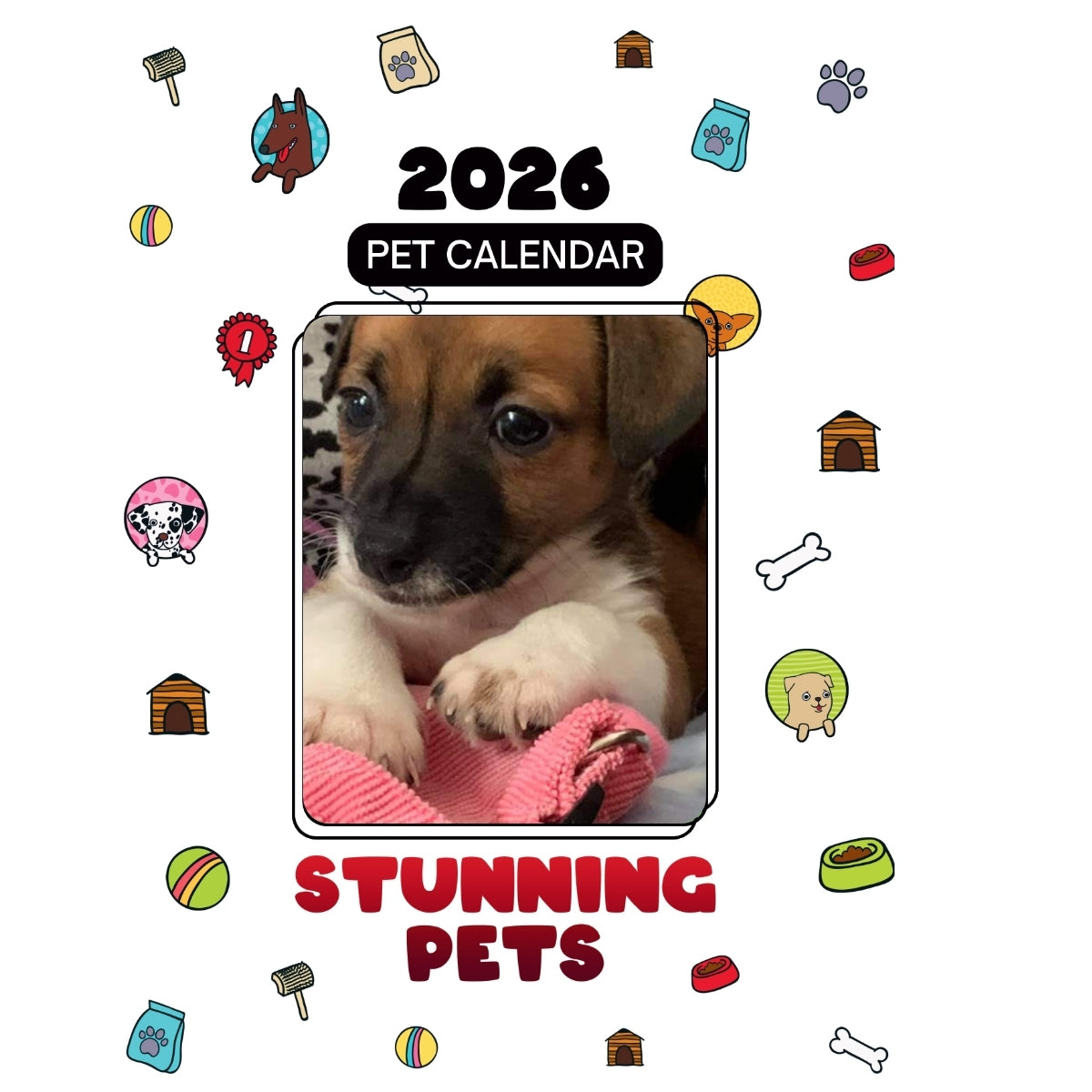 1 Headlines Stunning Pets: A 2026 Pet Calendar
