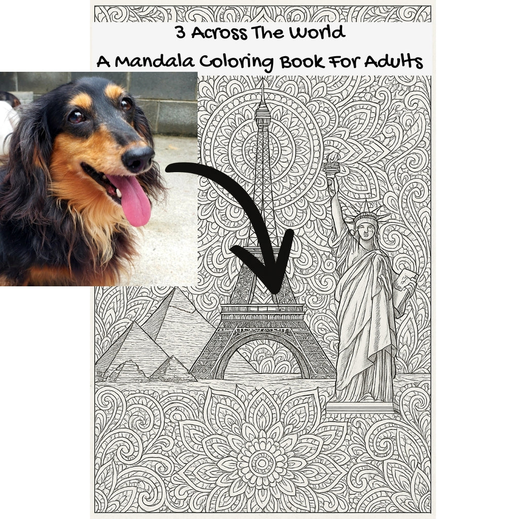 3 Across The World: A Mandala Coloring Book For Adults