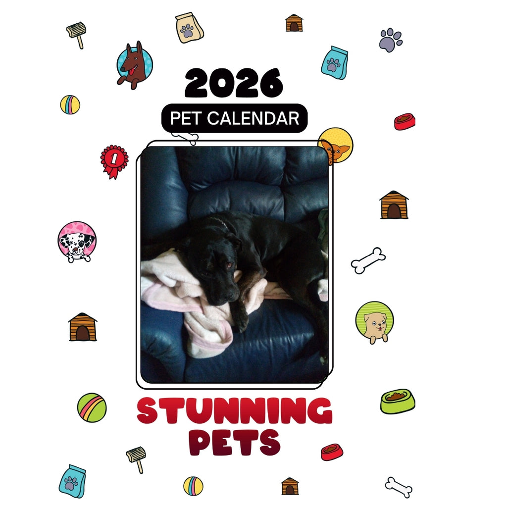 2 Headlines Stunning Pets: A 2026 Pet Calendar