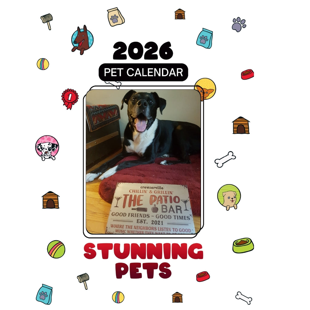 1 Headlines Stunning Pets: A 2026 Pet Calendar