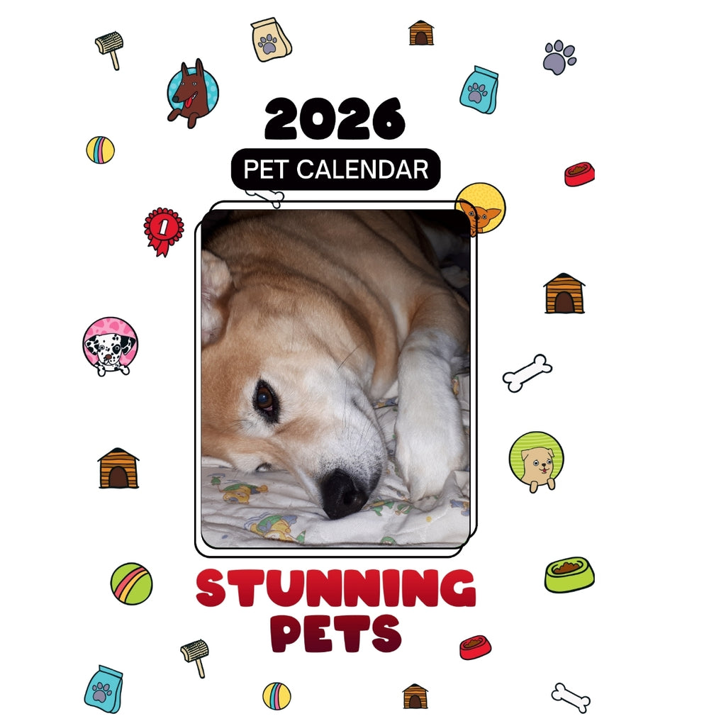 1 Headlines Stunning Pets: A 2026 Pet Calendar
