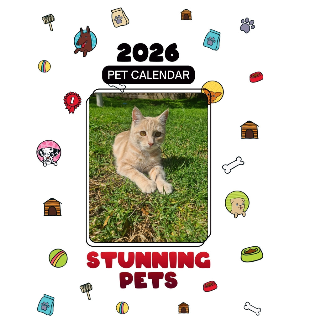 1 Headlines Stunning Pets: A 2026 Pet Calendar