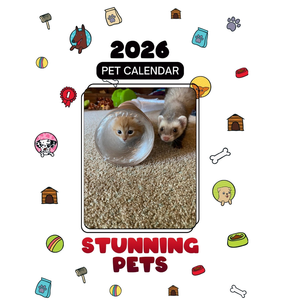 Willow and Rafiki the Ferret Headlines Stunning Pets: A 2026 Pet Calendar