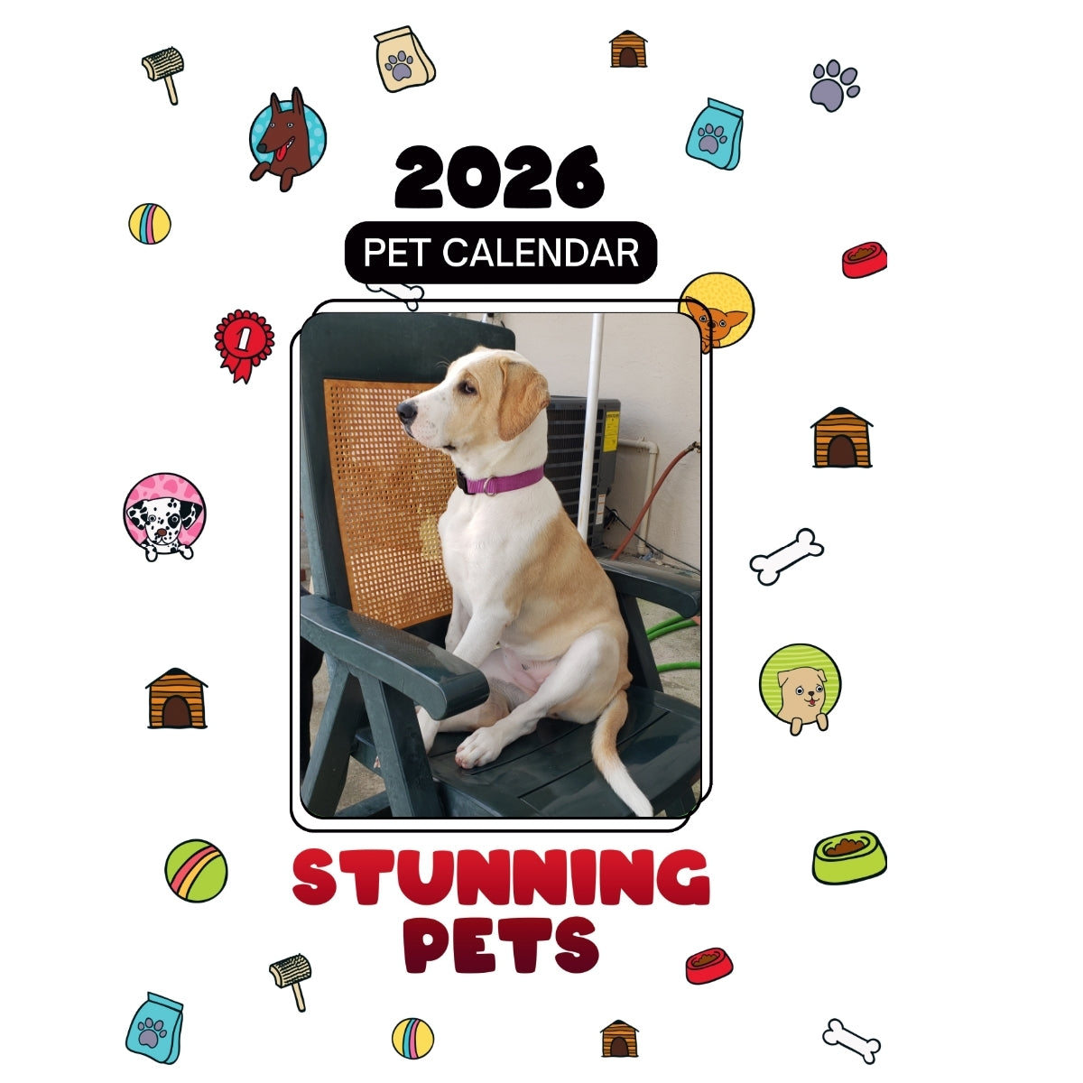 6107812020 Headlines Stunning Pets: A 2026 Pet Calendar