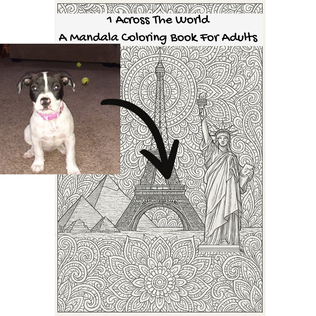1 Across The World: A Mandala Coloring Book For Adults