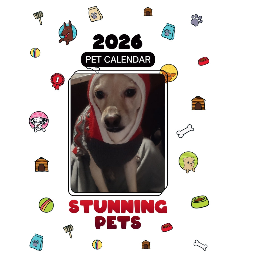 1) Cracker Jack Headlines Stunning Pets: A 2026 Pet Calendar