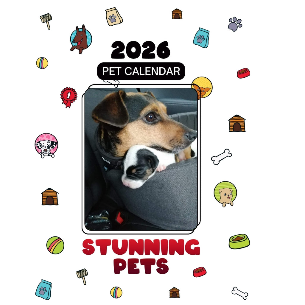 2 Headlines Stunning Pets: A 2026 Pet Calendar