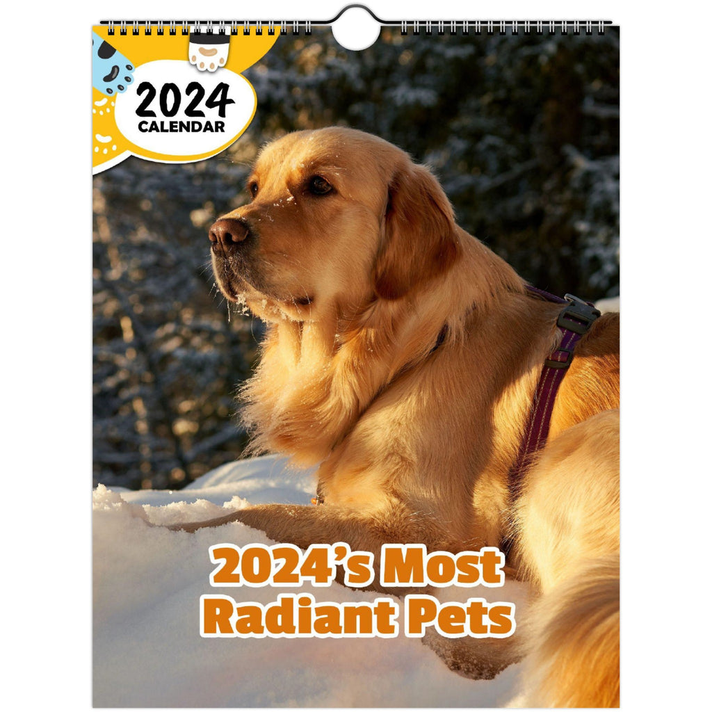 2024's Most Radiant Pets: 2024 Wall Calendar (Published)