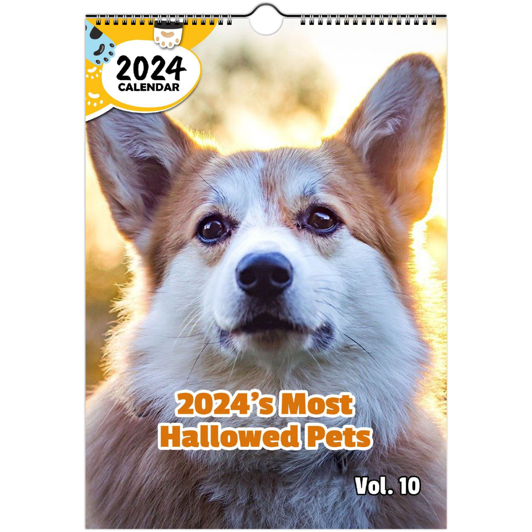 08a0b5e2-d225-4296-8cde-7d8c2e1c05cc