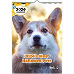 08a0b5e2-d225-4296-8cde-7d8c2e1c05cc