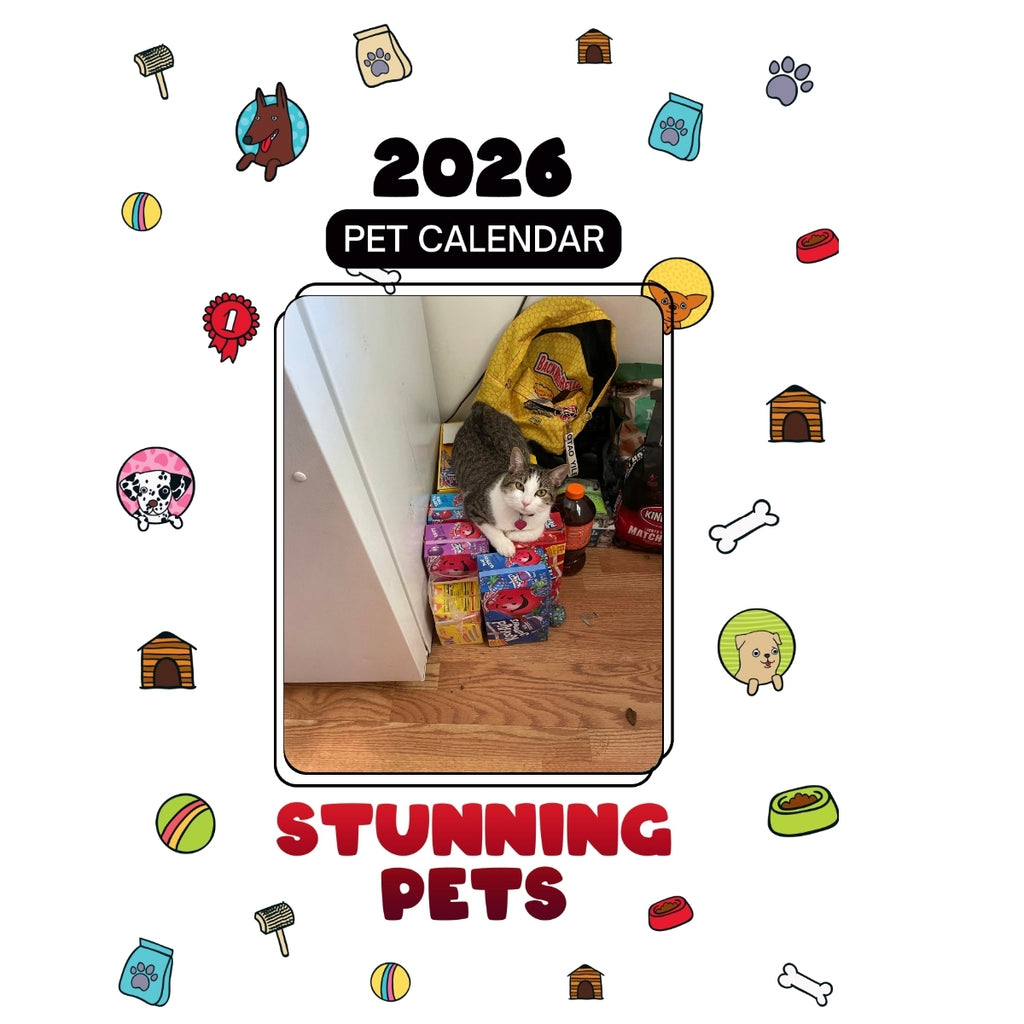 8 Ball Headlines Stunning Pets: A 2026 Pet Calendar