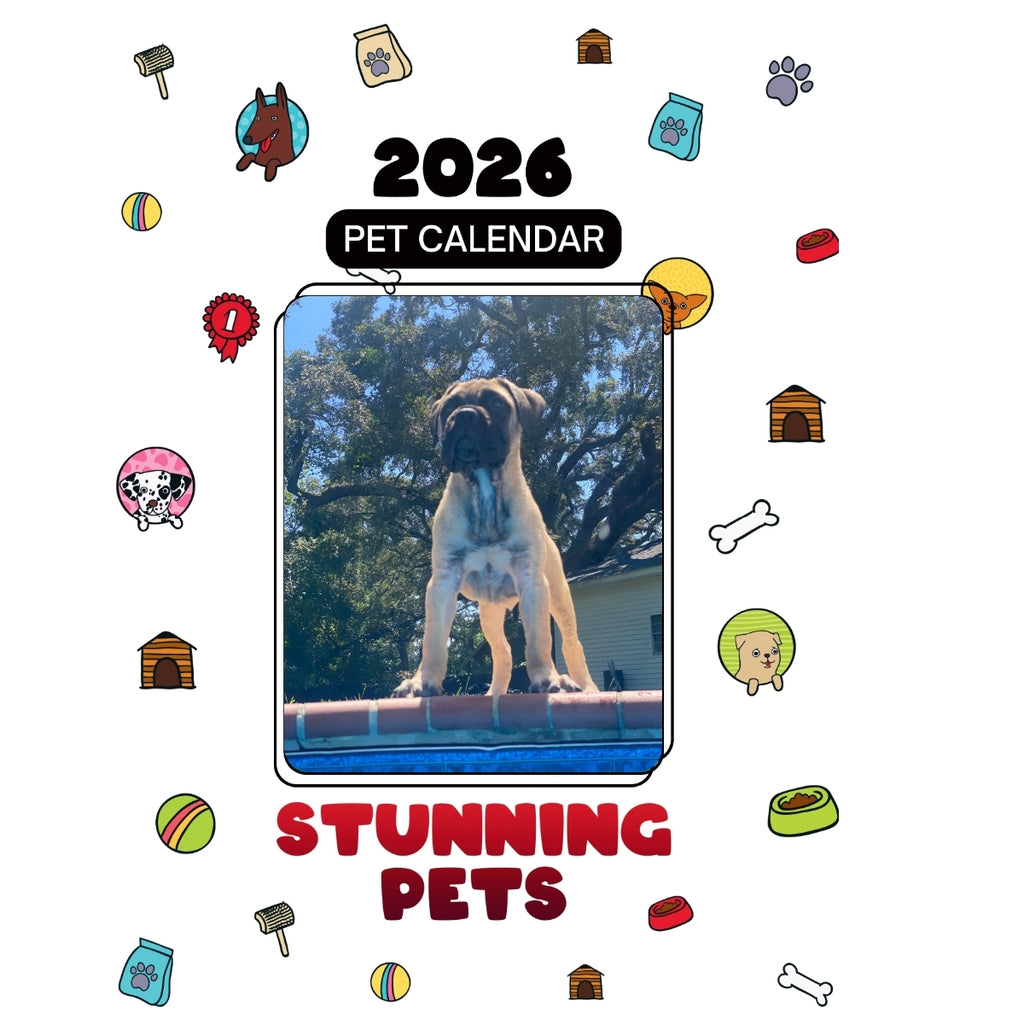 Bull Mastiff Headlines Stunning Pets: A 2026 Pet Calendar