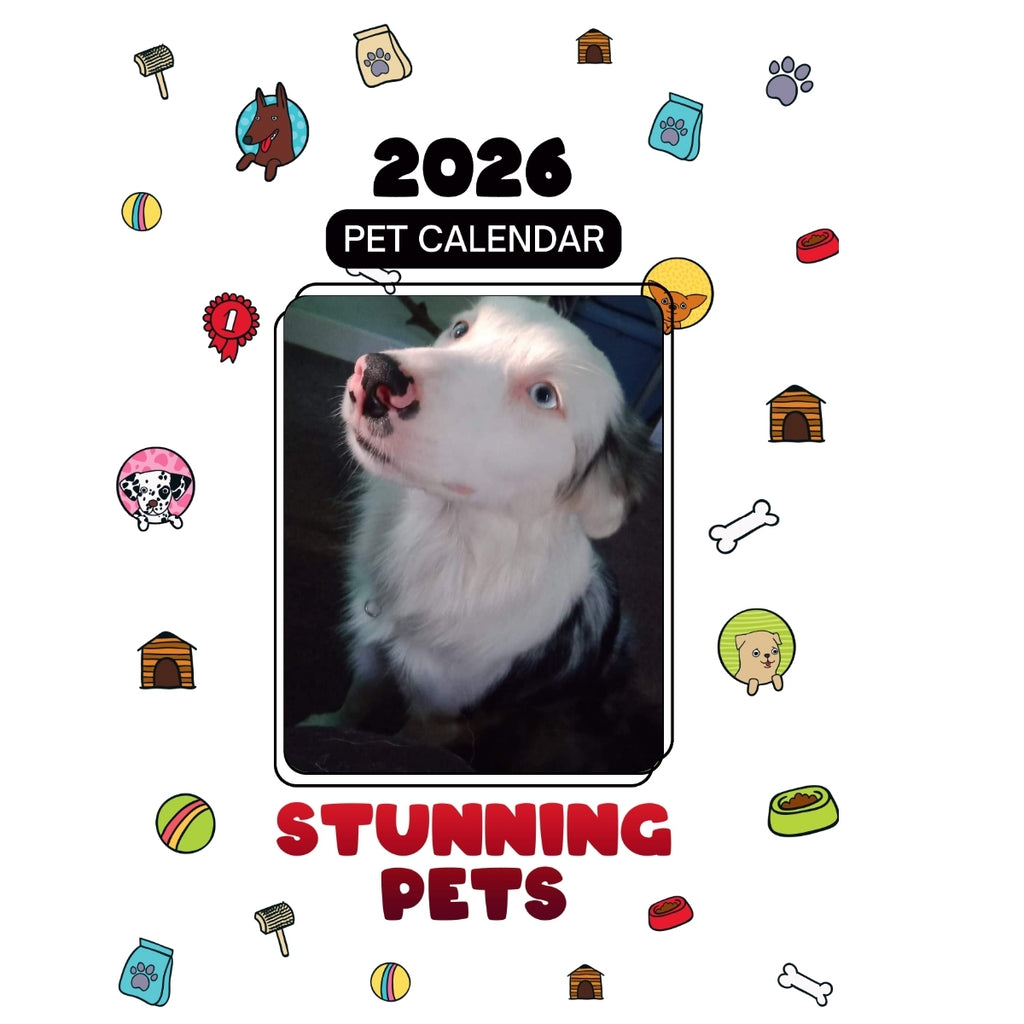 1 Headlines Stunning Pets: A 2026 Pet Calendar