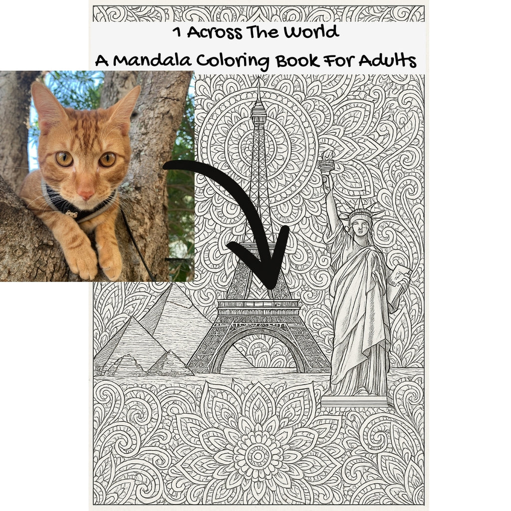 1 Across The World: A Mandala Coloring Book For Adults