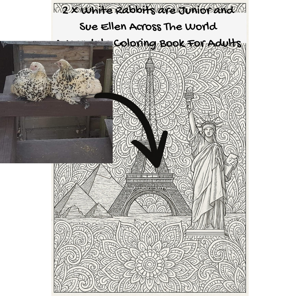2 x White Rabbits are Junior and Sue Ellen Across The World: A Mandala Coloring Book For Adults