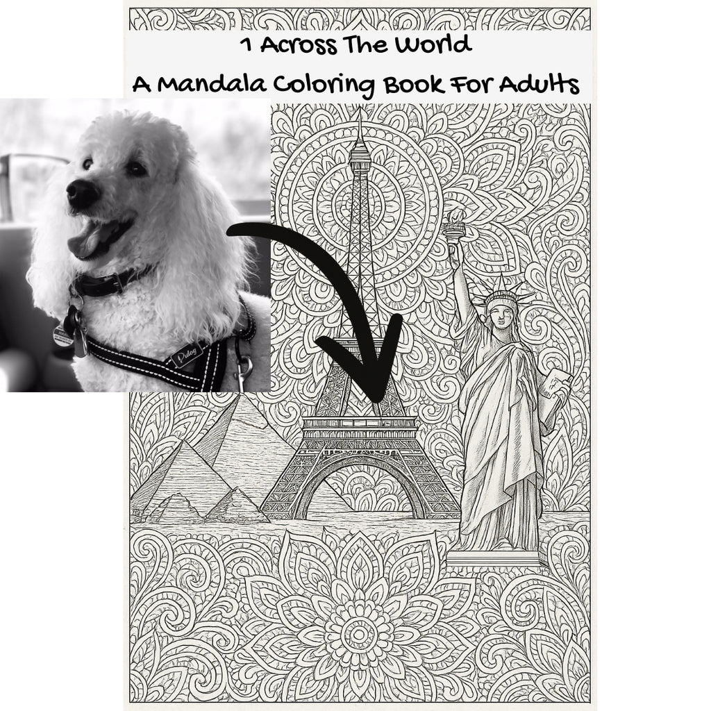 1 Across The World: A Mandala Coloring Book For Adults