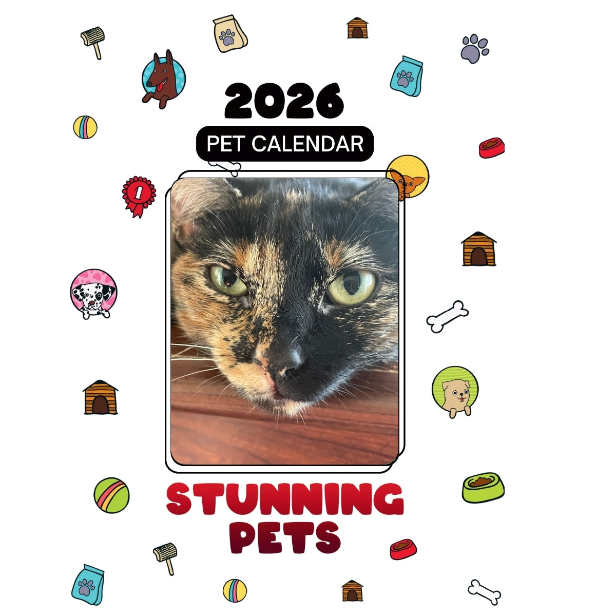 Bubbagirl Headlines Stunning Pets: A 2026 Pet Calendar