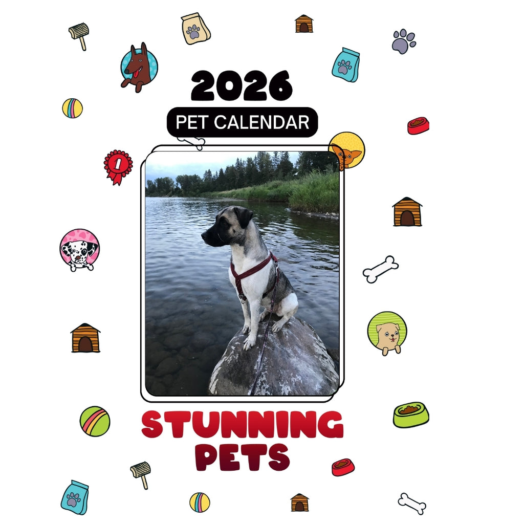 2 Headlines Stunning Pets: A 2026 Pet Calendar