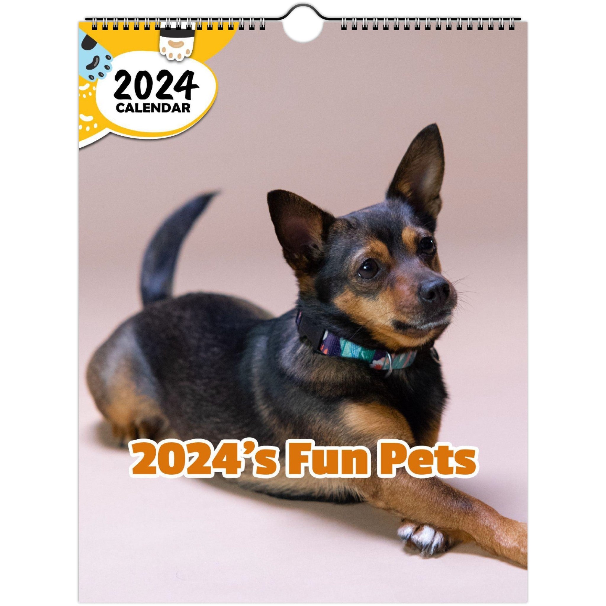 2024's Fun Pets: 2024 Wall Calendar (Published)