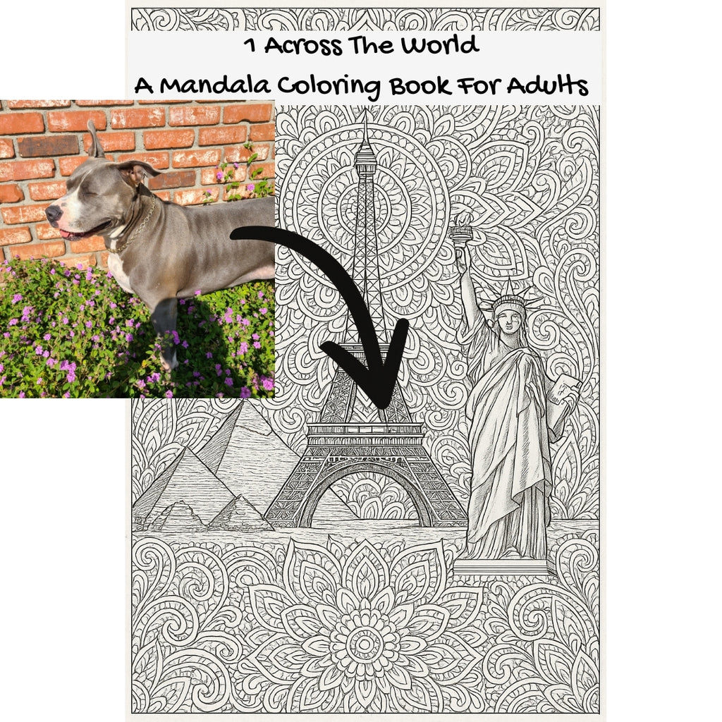 1 Across The World: A Mandala Coloring Book For Adults