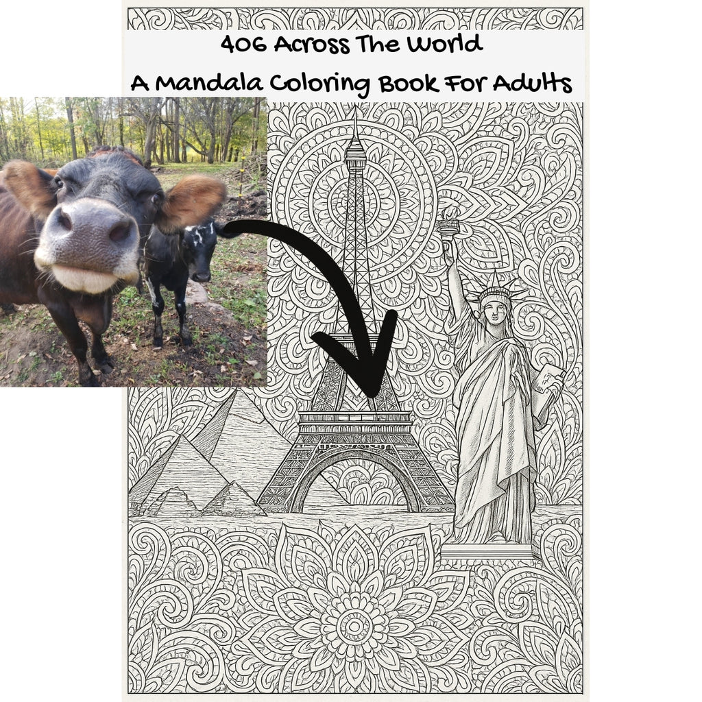 406 Across The World: A Mandala Coloring Book For Adults