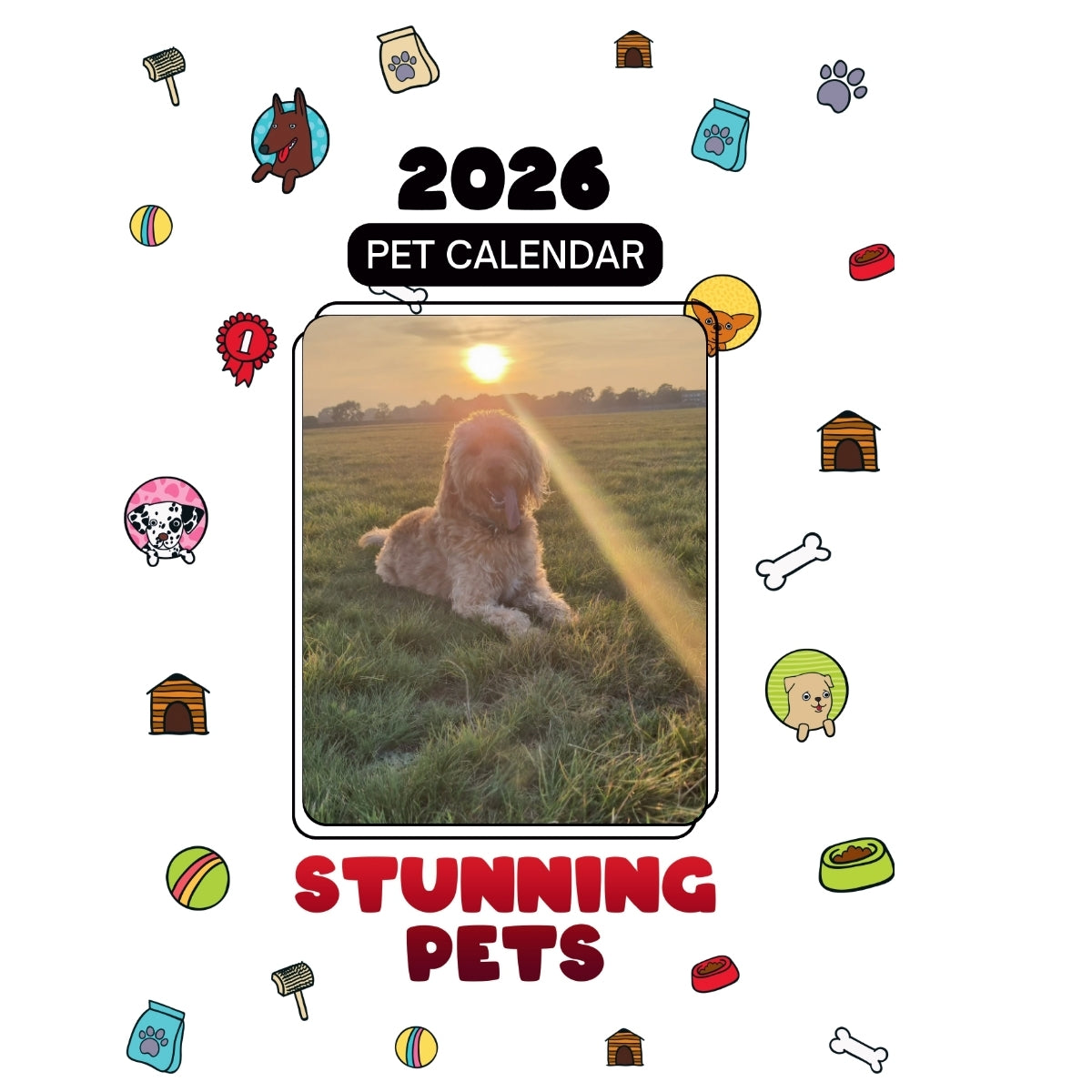 Bailey Headlines Stunning Pets: A 2026 Pet Calendar