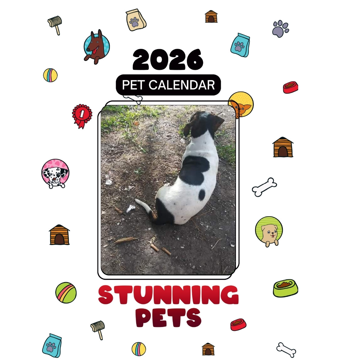 8-Ball Headlines Stunning Pets: A 2026 Pet Calendar